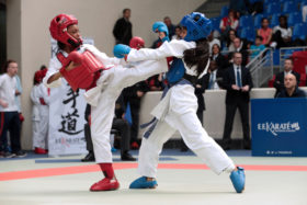 Championnat de France Combats Minimes 2015